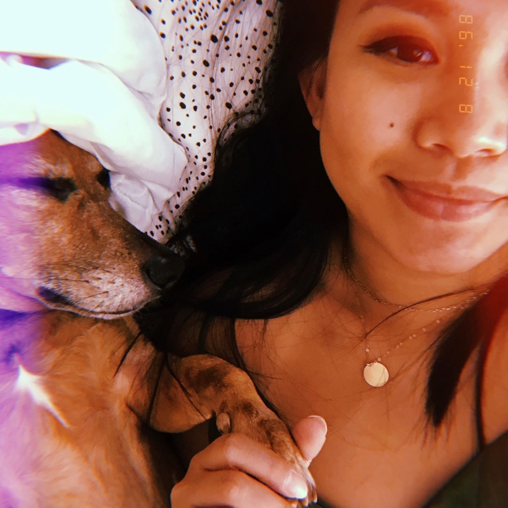 Meet your Posher, Tram